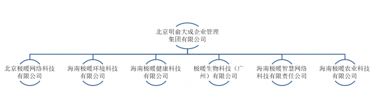 集团结构(图1)